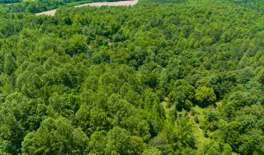 Photo #37 of SOLD property in Off Walnut Grove Church Rd, Hillsborough, NC 16.2 acres