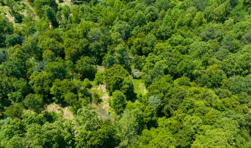 Photo #38 of SOLD property in Off Walnut Grove Church Rd, Hillsborough, NC 16.2 acres