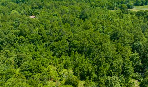 Photo #40 of SOLD property in Off Walnut Grove Church Rd, Hillsborough, NC 16.2 acres