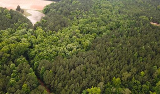 Photo #2 of SOLD property in Off Asbin Rd, Emporia, VA 15.6 acres