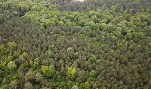 Photo #4 of SOLD property in Off Asbin Rd, Emporia, VA 15.6 acres