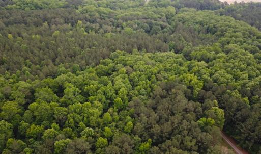 Photo #5 of SOLD property in Off Asbin Rd, Emporia, VA 15.6 acres