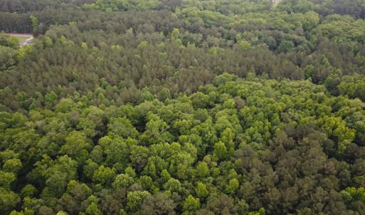 Photo #6 of SOLD property in Off Asbin Rd, Emporia, VA 15.6 acres
