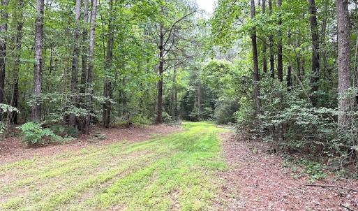 Photo #7 of SOLD property in Off Asbin Rd, Emporia, VA 15.6 acres