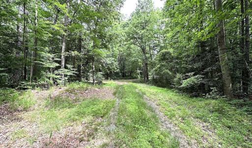 Photo #13 of SOLD property in Off Asbin Rd, Emporia, VA 15.6 acres
