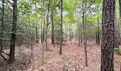 Photo #19 of SOLD property in Off Asbin Rd, Emporia, VA 15.6 acres