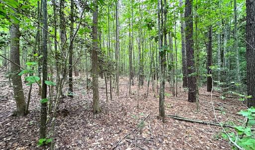 Photo #25 of SOLD property in Off Asbin Rd, Emporia, VA 15.6 acres