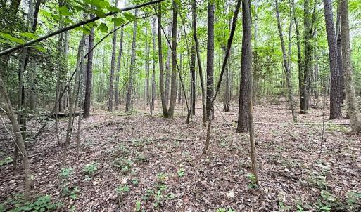 Photo #30 of SOLD property in Off Asbin Rd, Emporia, VA 15.6 acres