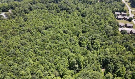 Photo #10 of SOLD property in Off Daniels Creek Rd, Collinsville, VA 104.4 acres