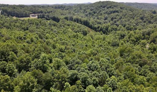 Photo #15 of SOLD property in Off Daniels Creek Rd, Collinsville, VA 104.4 acres