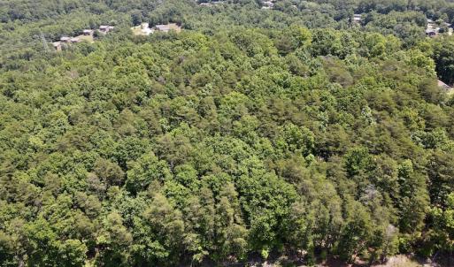 Photo #4 of SOLD property in Off Daniels Creek Rd, Collinsville, VA 104.4 acres