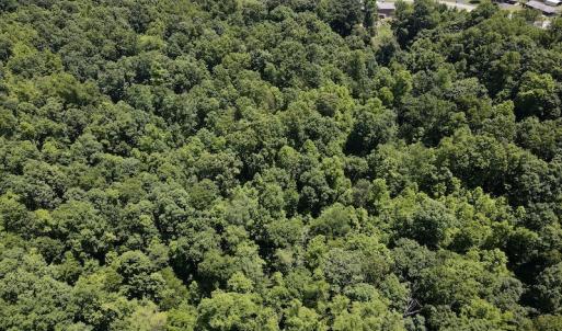 Photo #6 of SOLD property in Off Daniels Creek Rd, Collinsville, VA 104.4 acres