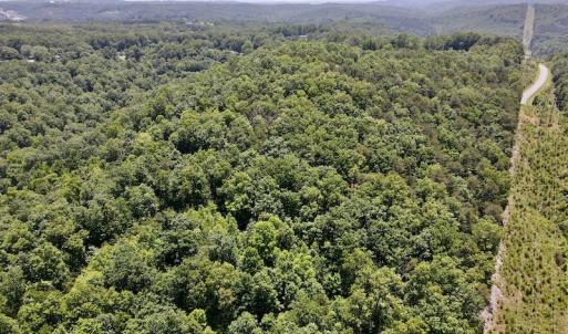 Photo #8 of SOLD property in Off Daniels Creek Rd, Collinsville, VA 104.4 acres