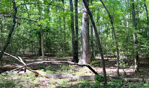Photo #11 of SOLD property in 2200 Country Road , Beaverdam, VA 11.9 acres