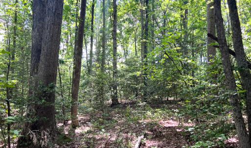 Photo #12 of SOLD property in 2200 Country Road , Beaverdam, VA 11.9 acres