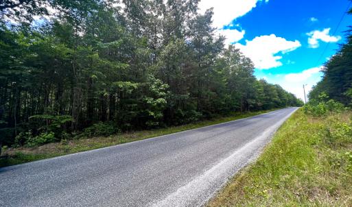 Photo #23 of SOLD property in 2200 Country Road , Beaverdam, VA 11.9 acres
