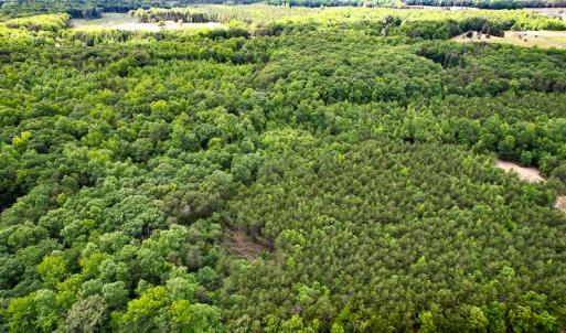 Photo #27 of SOLD property in 2200 Country Road , Beaverdam, VA 11.9 acres