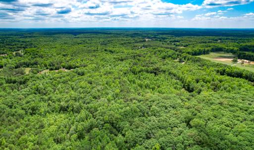 Photo #34 of SOLD property in 2200 Country Road , Beaverdam, VA 11.9 acres