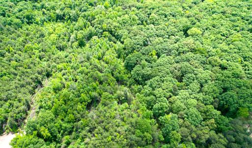Photo #35 of SOLD property in 2200 Country Road , Beaverdam, VA 11.9 acres