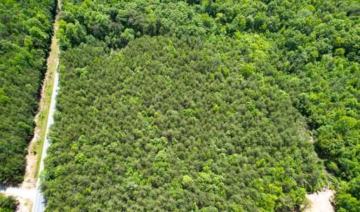 Photo #36 of SOLD property in 2200 Country Road , Beaverdam, VA 11.9 acres