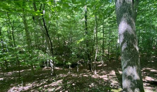 Photo #20 of SOLD property in Off Daniels Creek Rd, Collinsville, VA 104.4 acres