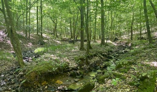 Photo #22 of SOLD property in Off Daniels Creek Rd, Collinsville, VA 104.4 acres