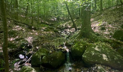 Photo #23 of SOLD property in Off Daniels Creek Rd, Collinsville, VA 104.4 acres