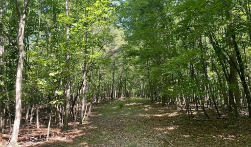Photo #27 of SOLD property in Off Daniels Creek Rd, Collinsville, VA 104.4 acres