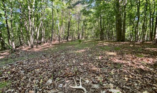 Photo #28 of SOLD property in Off Daniels Creek Rd, Collinsville, VA 104.4 acres