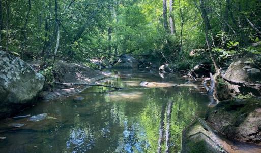 Photo #29 of SOLD property in Off Daniels Creek Rd, Collinsville, VA 104.4 acres