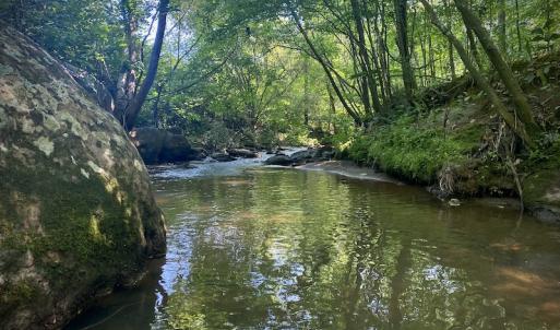 Photo #30 of SOLD property in Off Daniels Creek Rd, Collinsville, VA 104.4 acres