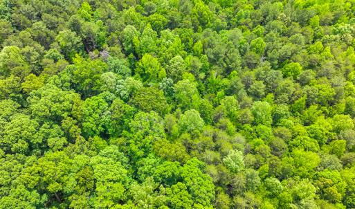 Photo #53 of SOLD property in 6115 Schley Road, Hillsborough, NC 42.4 acres