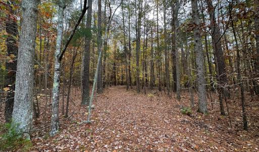 Photo #58 of SOLD property in 6115 Schley Road, Hillsborough, NC 42.4 acres