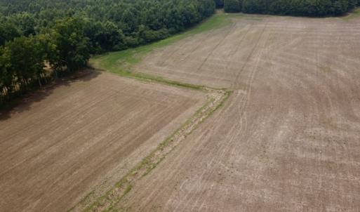Photo #3 of SOLD property in 3085 Carolina Rd , Suffolk, VA 10.0 acres