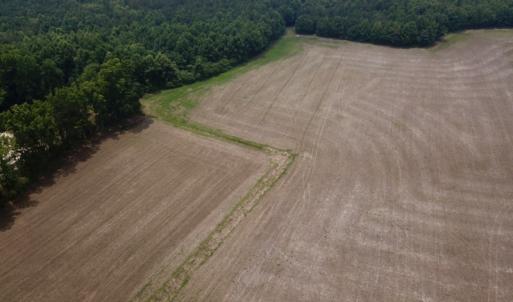 Photo #4 of SOLD property in 3085 Carolina Rd , Suffolk, VA 10.0 acres