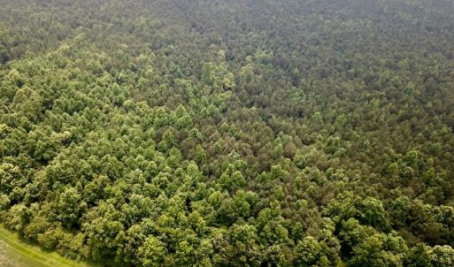 Photo #5 of SOLD property in 3085 Carolina Rd , Suffolk, VA 10.0 acres
