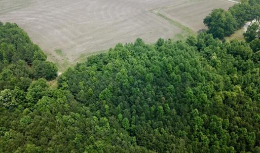 Photo #8 of SOLD property in 3085 Carolina Rd , Suffolk, VA 10.0 acres