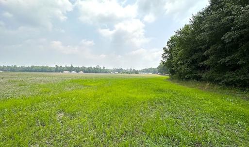 Photo #9 of SOLD property in 3085 Carolina Rd , Suffolk, VA 10.0 acres