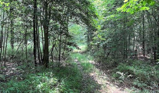 Photo #11 of SOLD property in 3085 Carolina Rd , Suffolk, VA 10.0 acres