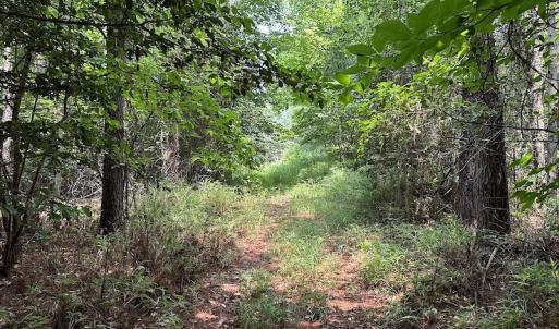 Photo #12 of SOLD property in 3085 Carolina Rd , Suffolk, VA 10.0 acres