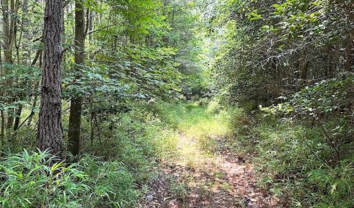 Photo #13 of SOLD property in 3085 Carolina Rd , Suffolk, VA 10.0 acres