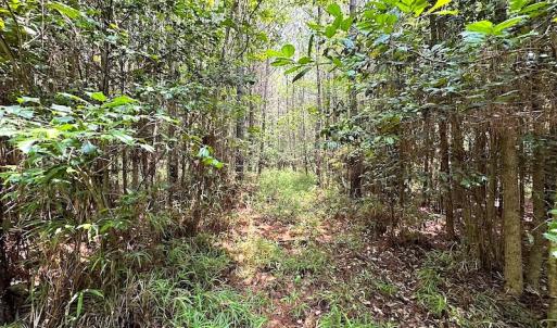 Photo #15 of SOLD property in 3085 Carolina Rd , Suffolk, VA 10.0 acres