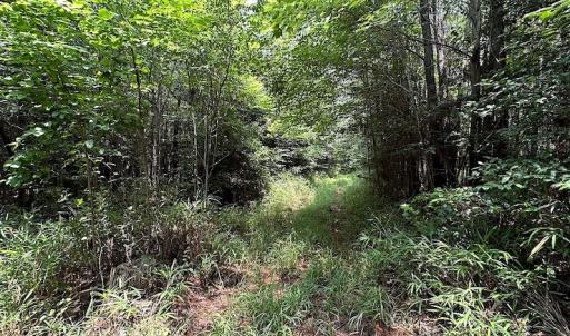 Photo #16 of SOLD property in 3085 Carolina Rd , Suffolk, VA 10.0 acres