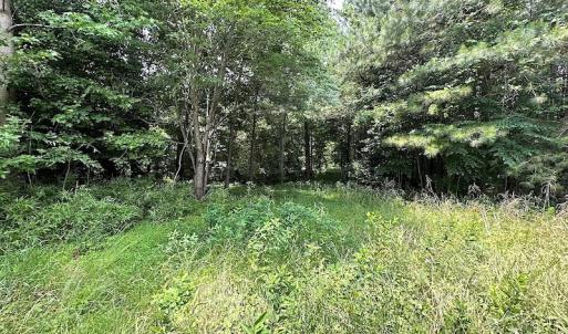 Photo #17 of SOLD property in 3085 Carolina Rd , Suffolk, VA 10.0 acres