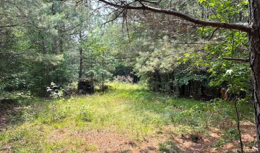 Photo #18 of SOLD property in 3085 Carolina Rd , Suffolk, VA 10.0 acres