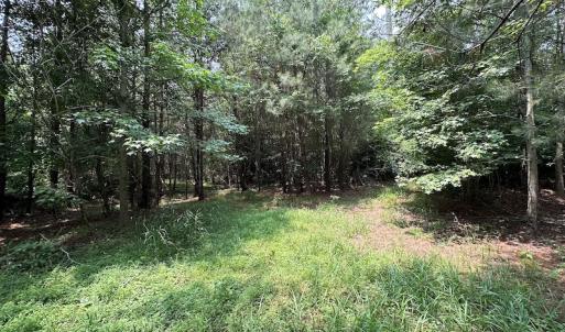 Photo #19 of SOLD property in 3085 Carolina Rd , Suffolk, VA 10.0 acres