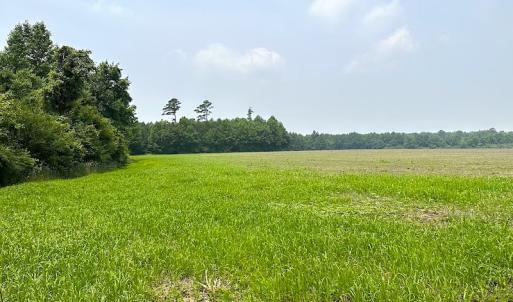 Photo #20 of SOLD property in 3085 Carolina Rd , Suffolk, VA 10.0 acres