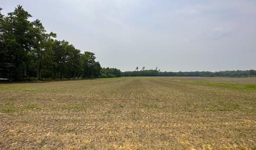 Photo #23 of SOLD property in 3085 Carolina Rd , Suffolk, VA 10.0 acres