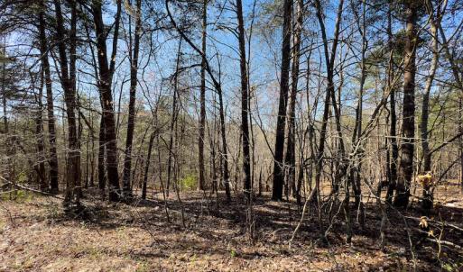 Photo #2 of SOLD property in Off Price Hairston Lane, Martinsville, VA 19.4 acres