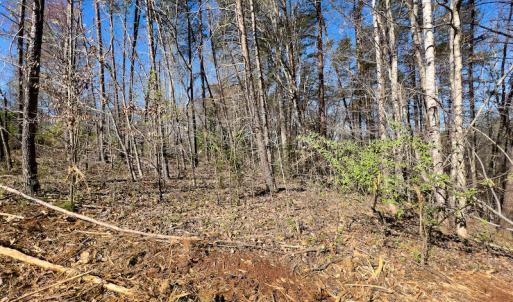 Photo #10 of SOLD property in Off Price Hairston Lane, Martinsville, VA 19.4 acres